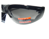 SUNGLASSES GLOBAL VISION RIDER PLUS SM